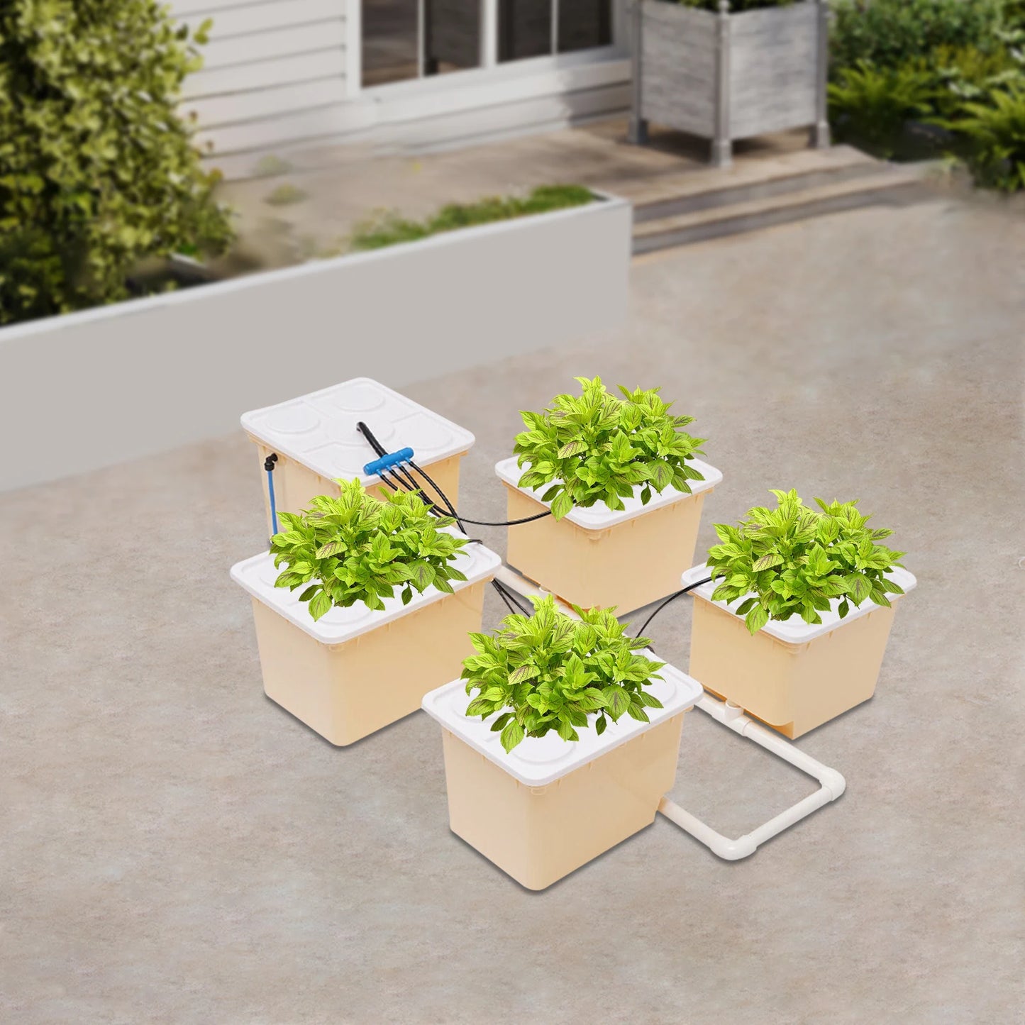 110V Submerged Pump With Buckets Lids Net Cups Pebbles