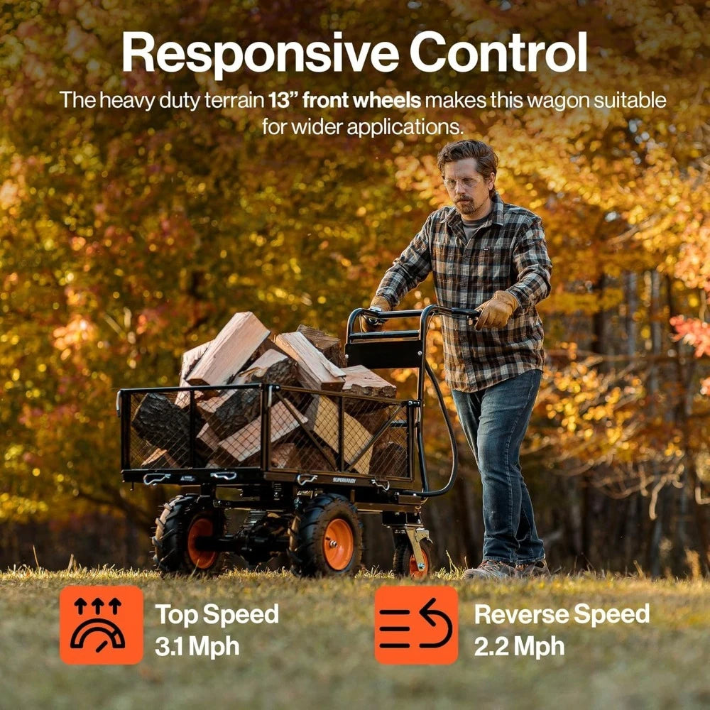 Hign Concerned Electric Utility Wagon Cart 48V Wheelbarrow