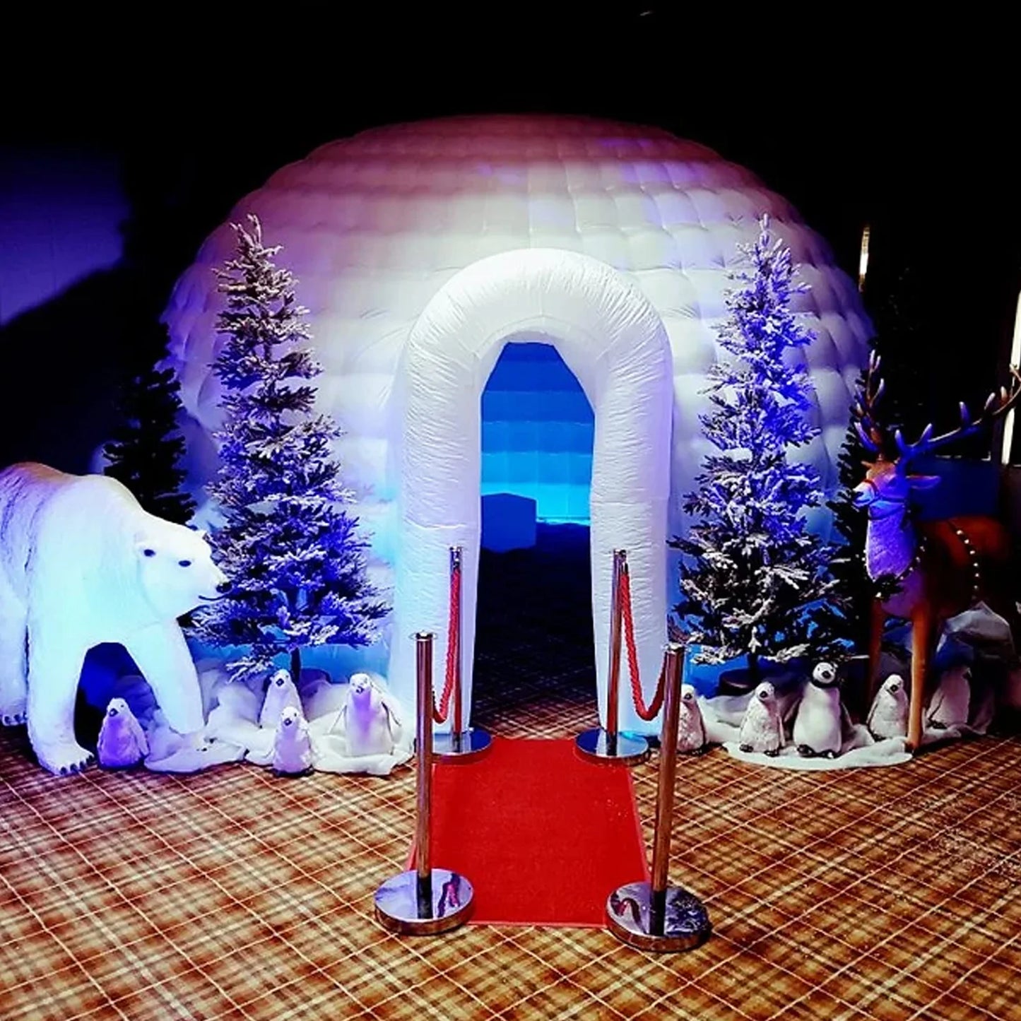 Building Igloo Dome Tent With Led Light And Blower