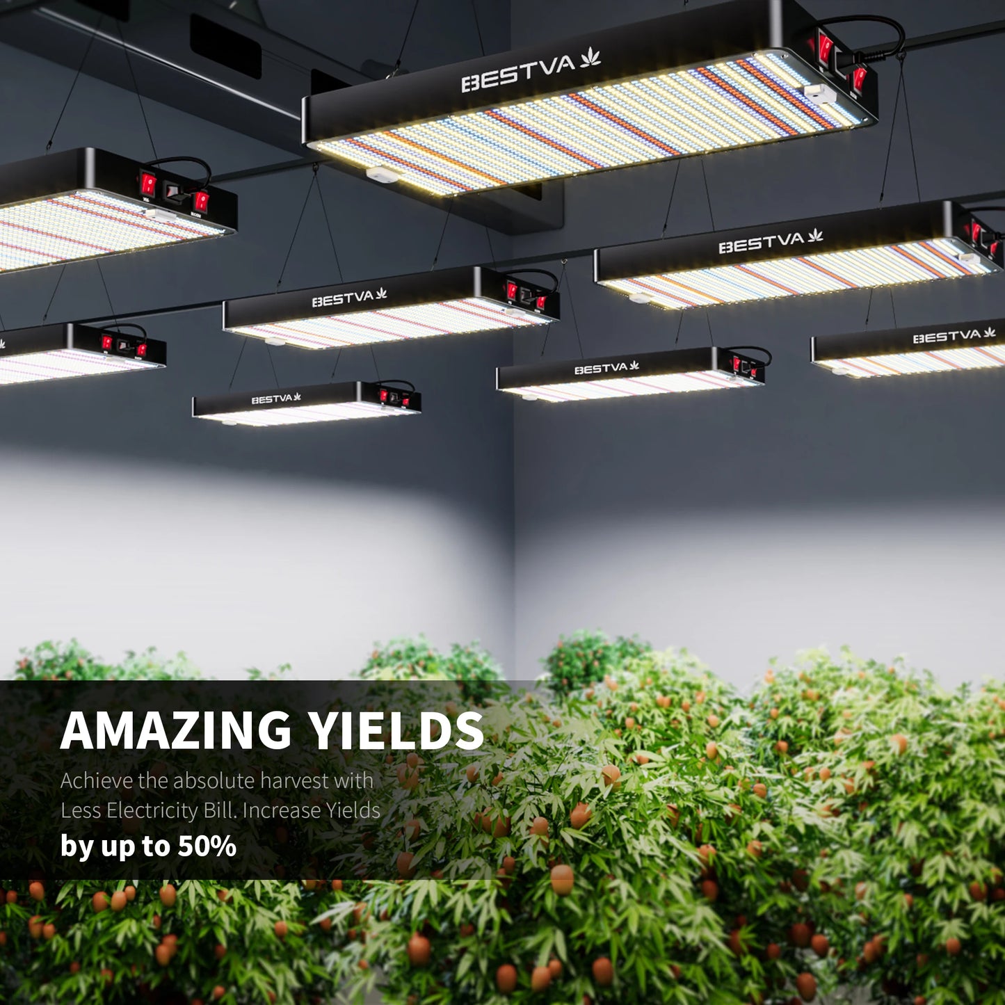 BESTVA 300W Full Spectrum Grow Light For Indoor Plants
