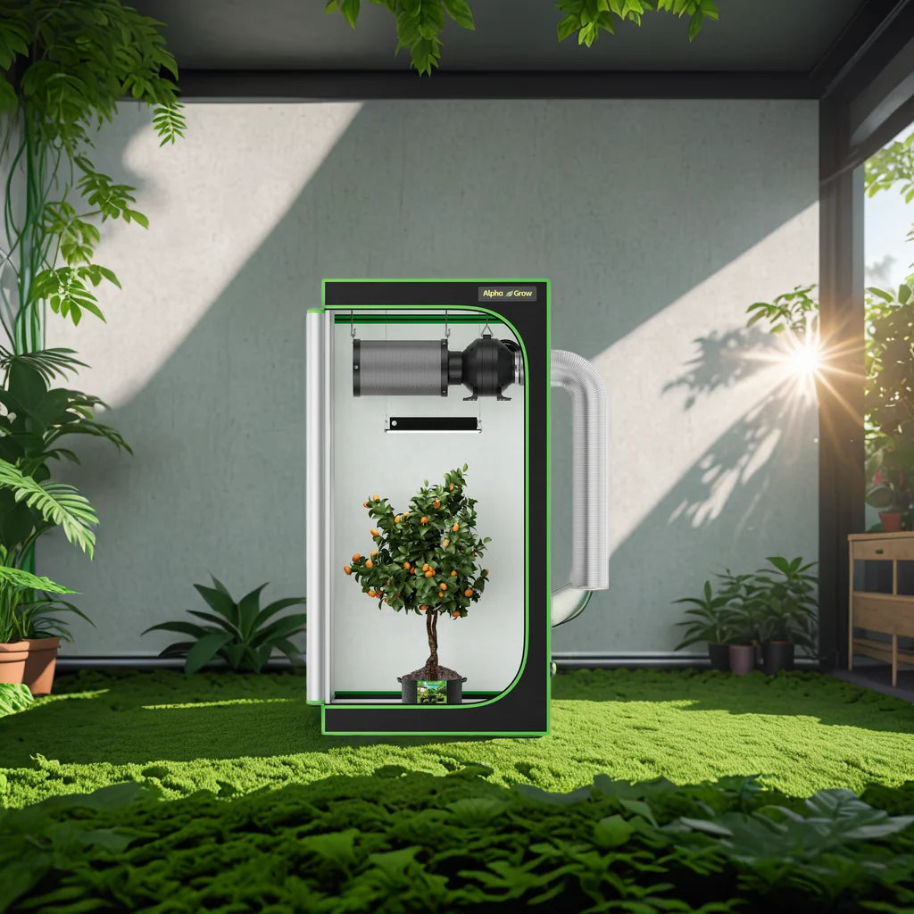 AlphaGrow Reflective Mylar Grow Tent For Hydroponics